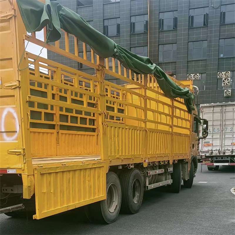 河北保定雄县至宜宾货运专线一站式物流服务，让货物畅行无忧